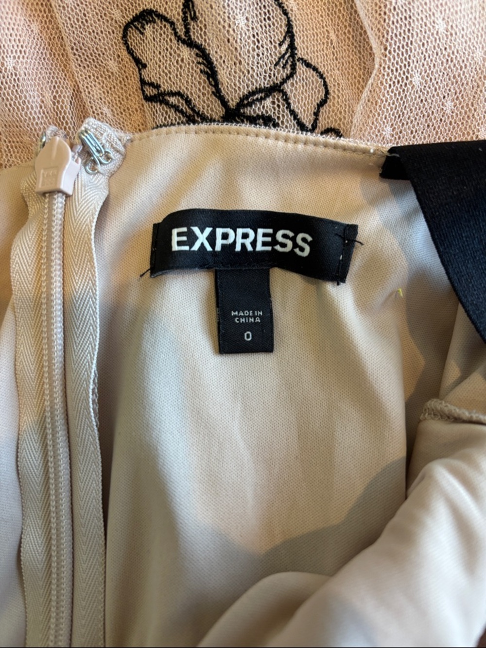 Express Tulle Dress with Black Floral Embroidery - Blush - Picture 5 of 6